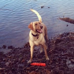 Meet your Posher, Townsend